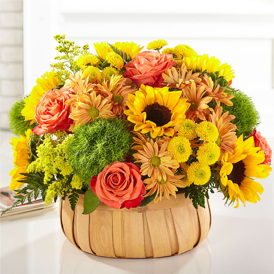 Harvest Sunflower Basket –  Rambling Rose Florist, Dunedin FL