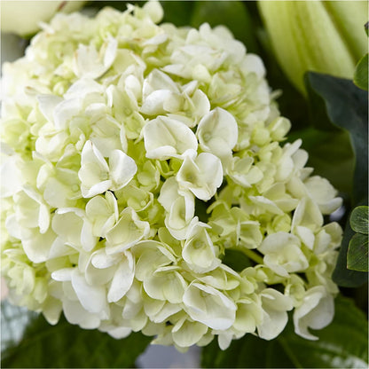 Classic Ivory – A Florist Original –  Rambling Rose Florist, Dunedin FL