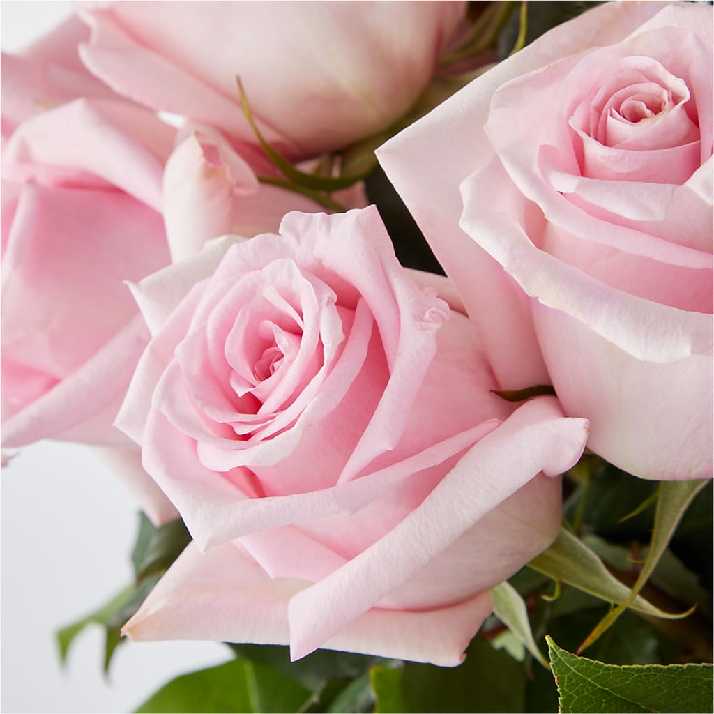 Picture Perfect Pink Rose Bouquet –  Rambling Rose Florist, Dunedin FL