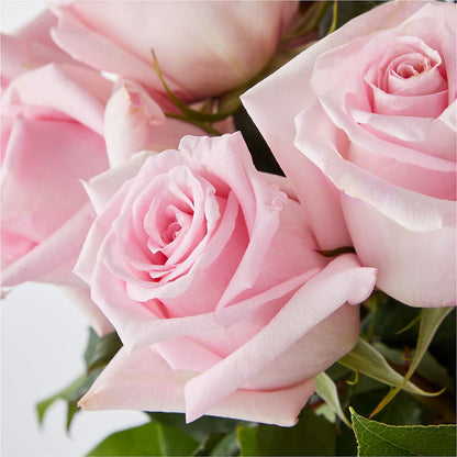 Picture Perfect Pink Rose Bouquet –  Rambling Rose Florist, Dunedin FL