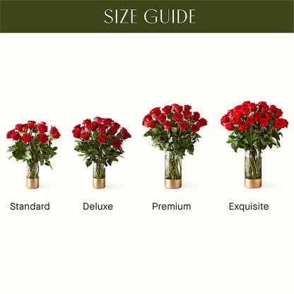 Classic Love Red Rose Bouquet –  Rambling Rose Florist, Dunedin FL