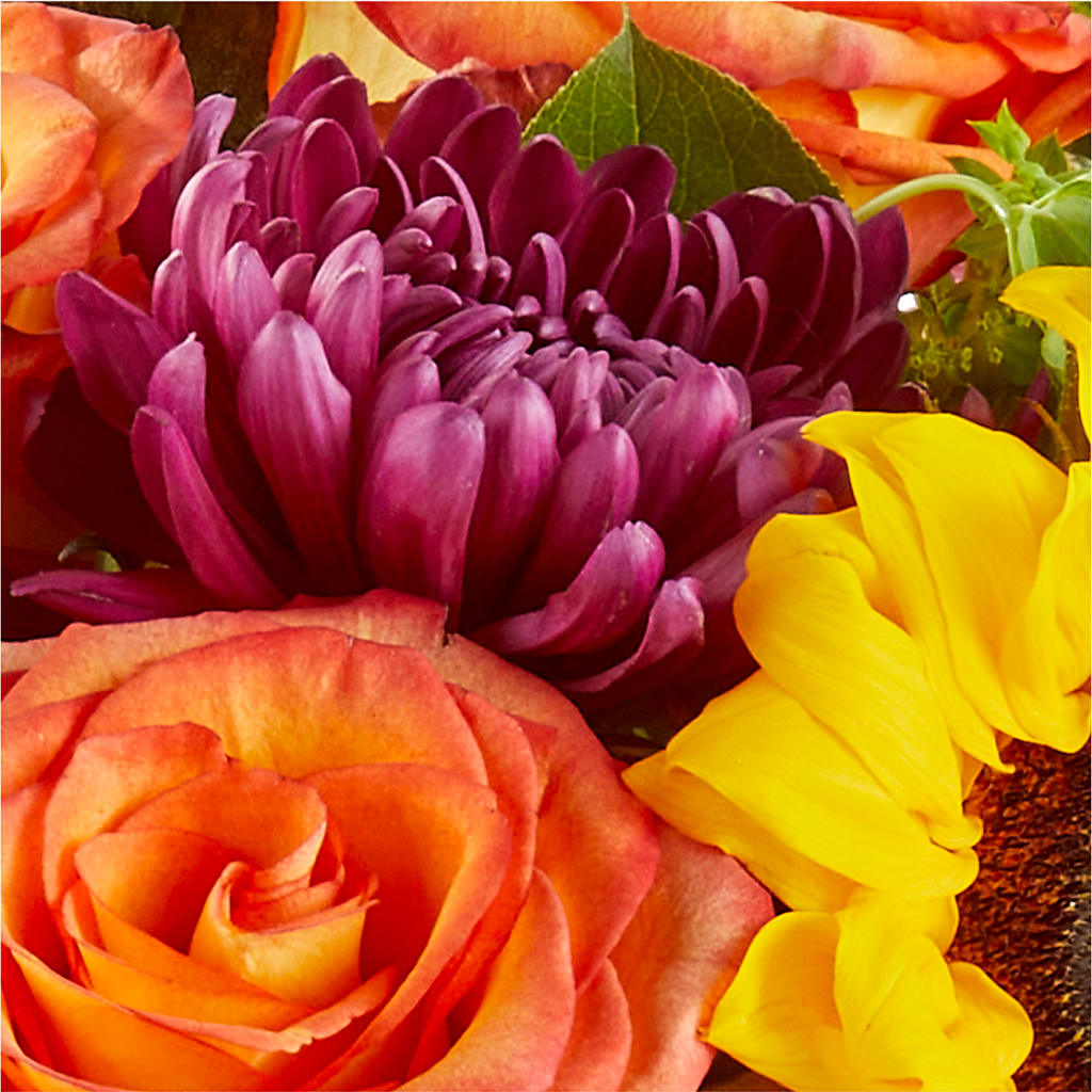 Nature Walk Bouquet –  Rambling Rose Florist, Dunedin FL