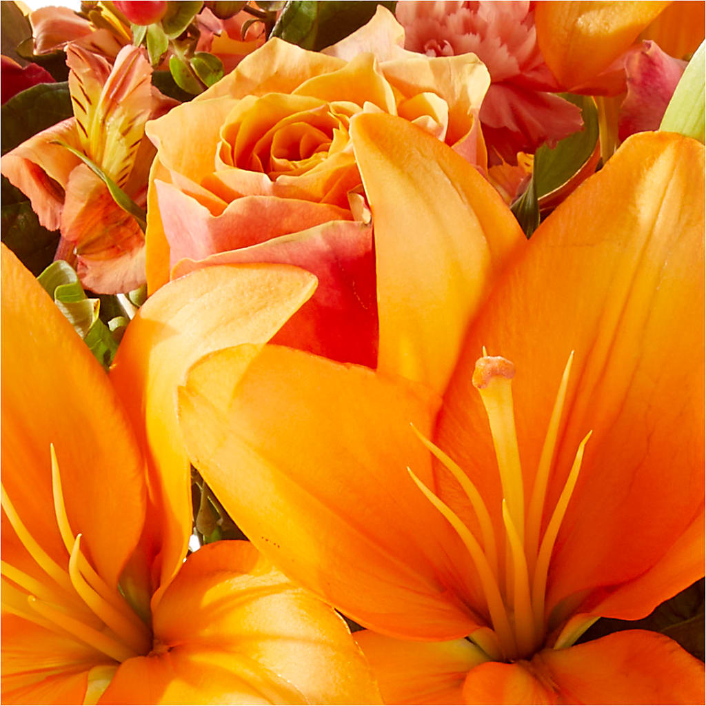 Afternoon Light Bouquet –  Rambling Rose Florist, Dunedin FL
