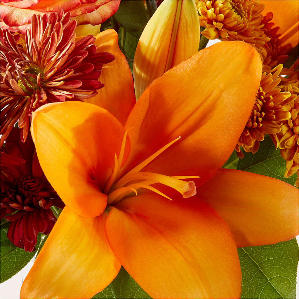 Autumnal Aroma Bouquet –  Rambling Rose Florist, Dunedin FL