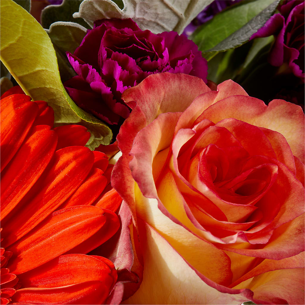Sangria Bouquet –  Rambling Rose Florist, Dunedin FL