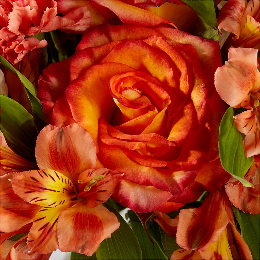 Apricot Glow Bouquet –  Rambling Rose Florist, Dunedin FL