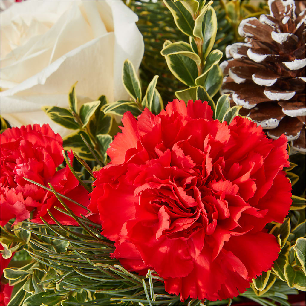 Christmas Market Bouquet –  Rambling Rose Florist, Dunedin FL