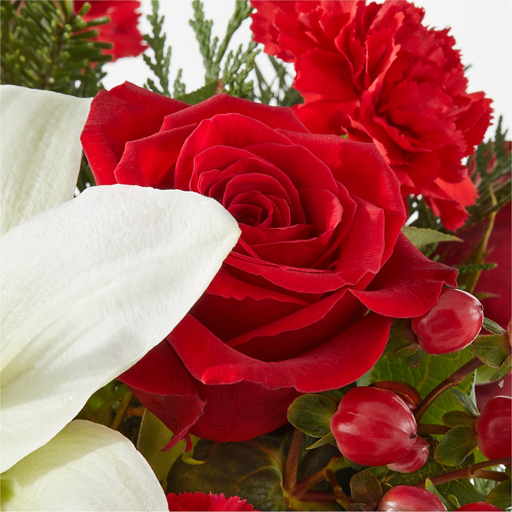 Oh So Jolly Bouquet –  Rambling Rose Florist, Dunedin FL