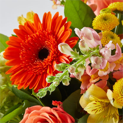 Autumn Sunshine Bouquet –  Rambling Rose Florist, Dunedin FL
