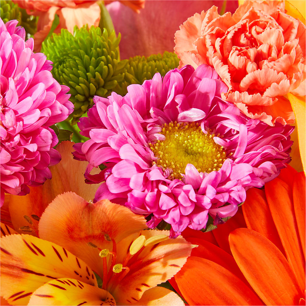 Soiree Bouquet –  Rambling Rose Florist, Dunedin FL
