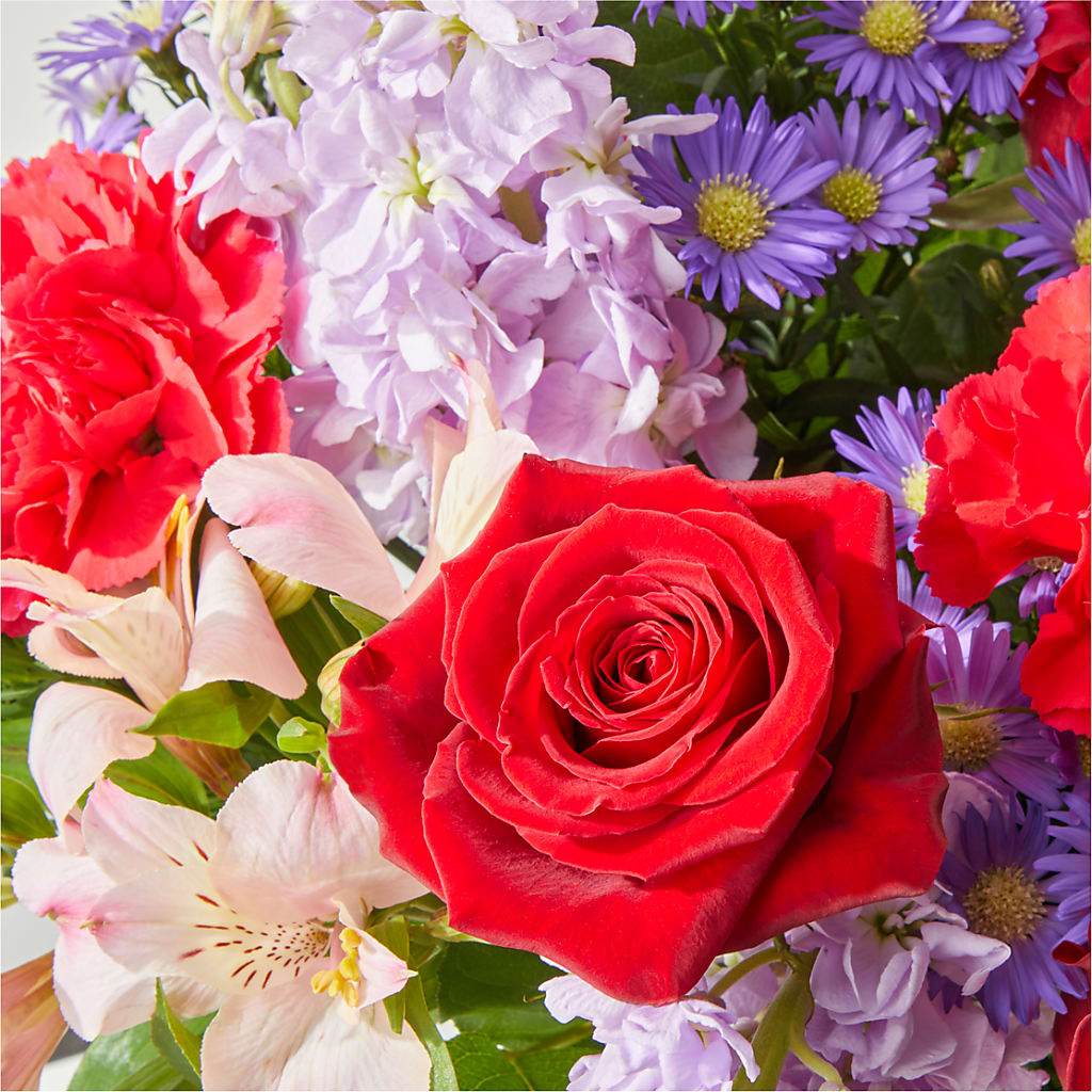 Your Majesty Bouquet –  Rambling Rose Florist, Dunedin FL