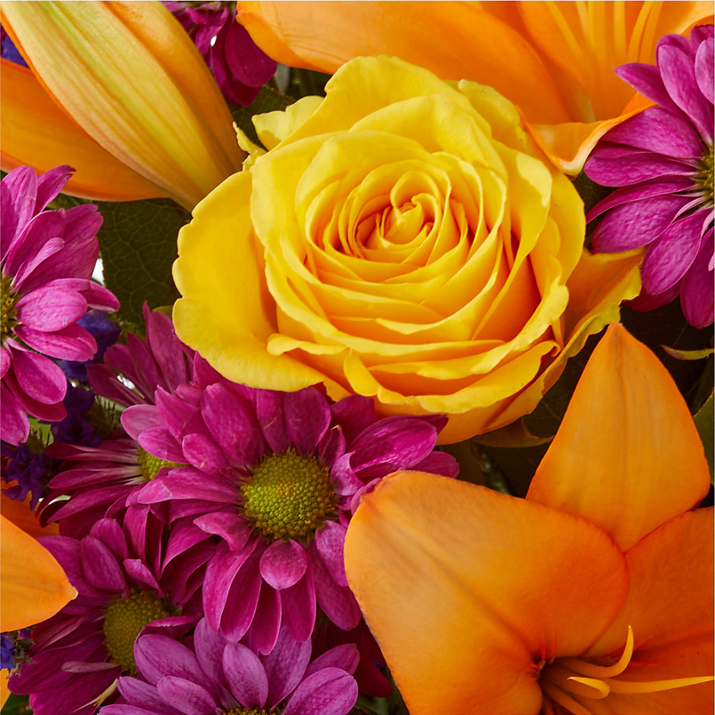 Colorful Visions Bouquet –  Rambling Rose Florist, Dunedin FL