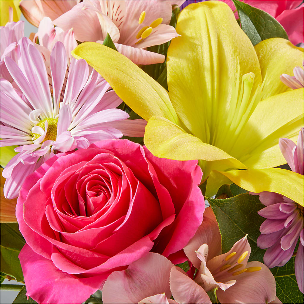 Sprinkles Bouquet –  Rambling Rose Florist, Dunedin FL