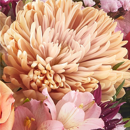 Berry Cobbler Bouquet –  Rambling Rose Florist, Dunedin FL