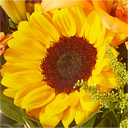 Seasons Change Bouquet –  Rambling Rose Florist, Dunedin FL