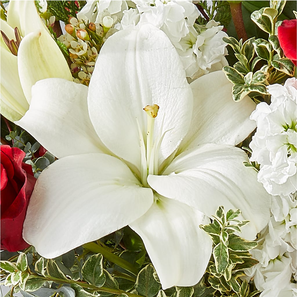 Twinkle Lights Bouquet –  Rambling Rose Florist, Dunedin FL