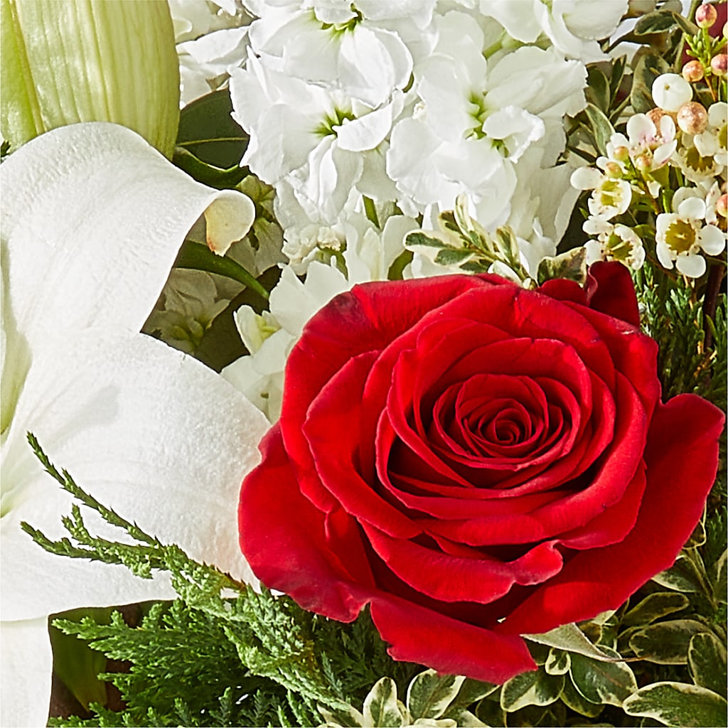 Twinkle Lights Bouquet –  Rambling Rose Florist, Dunedin FL