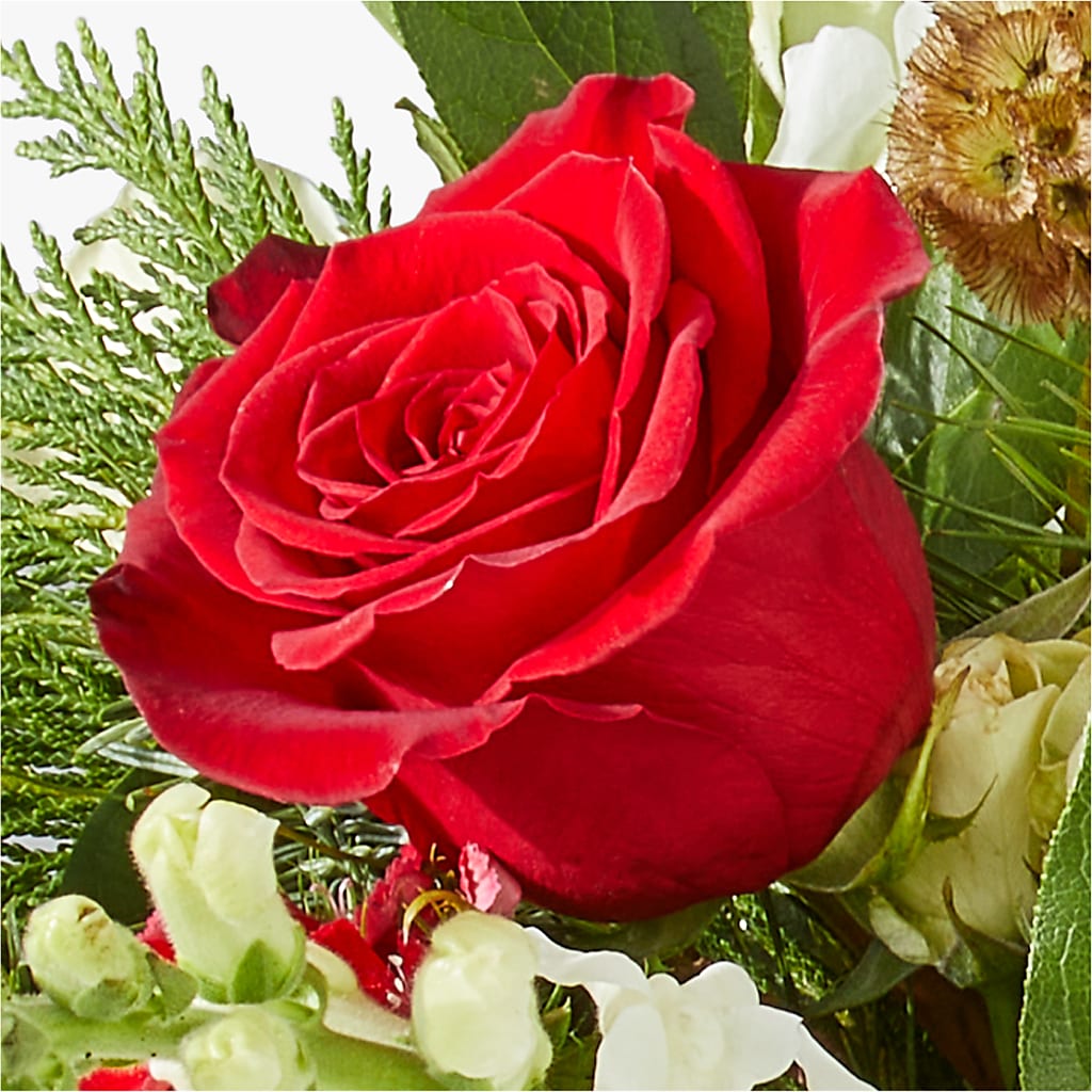 Deck the Halls Bouquet –  Rambling Rose Florist, Dunedin FL