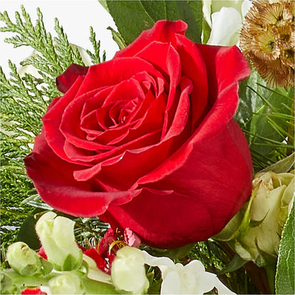 Deck the Halls Bouquet –  Rambling Rose Florist, Dunedin FL