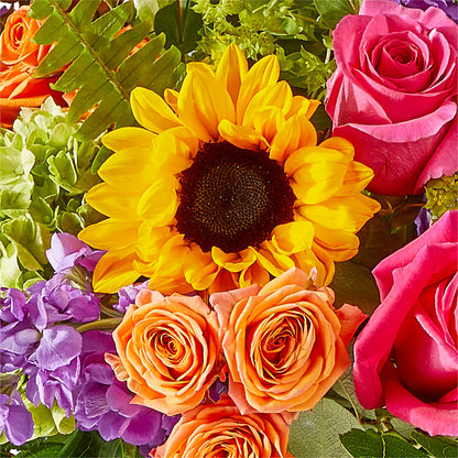 Vibrant Greetings Bouquet –  Rambling Rose Florist, Dunedin FL