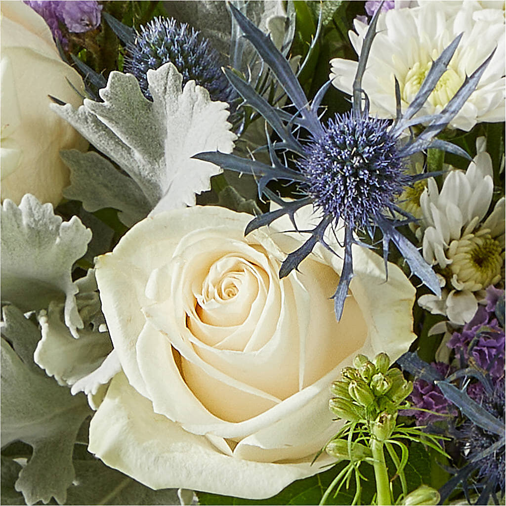 Shooting Star Bouquet –  Rambling Rose Florist, Dunedin FL