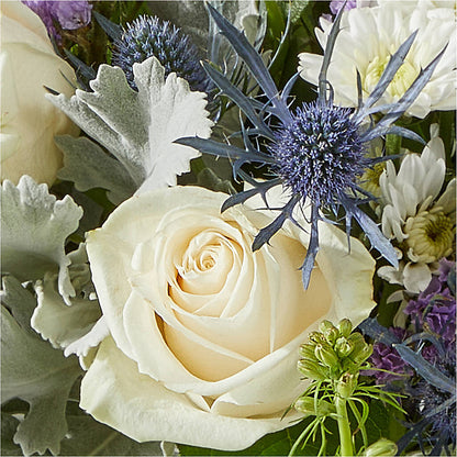 Shooting Star Bouquet –  Rambling Rose Florist, Dunedin FL