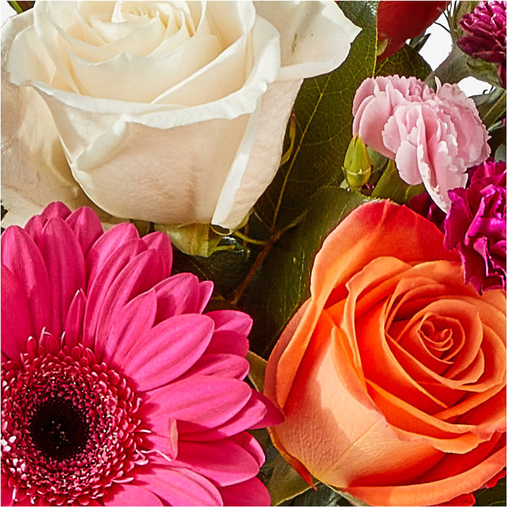 Smell the Roses Bouquet –  Rambling Rose Florist, Dunedin FL
