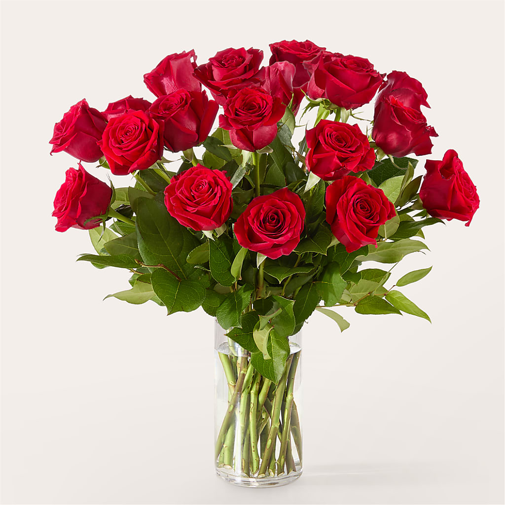 The One Red Rose Bouquet –  Rambling Rose Florist, Dunedin FL