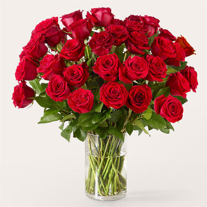 The One Red Rose Bouquet –  Rambling Rose Florist, Dunedin FL
