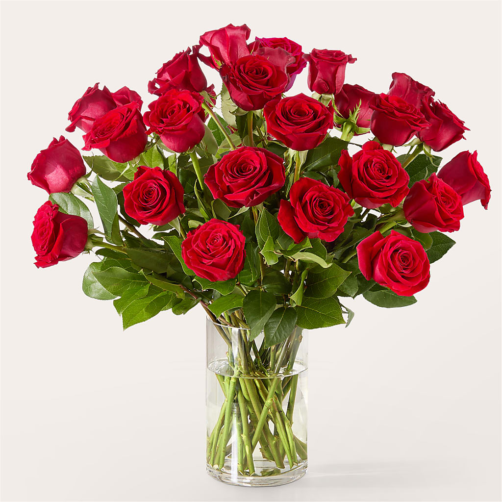 The One Red Rose Bouquet –  Rambling Rose Florist, Dunedin FL
