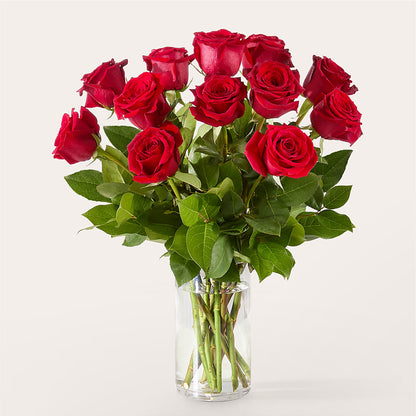 The One Red Rose Bouquet –  Rambling Rose Florist, Dunedin FL