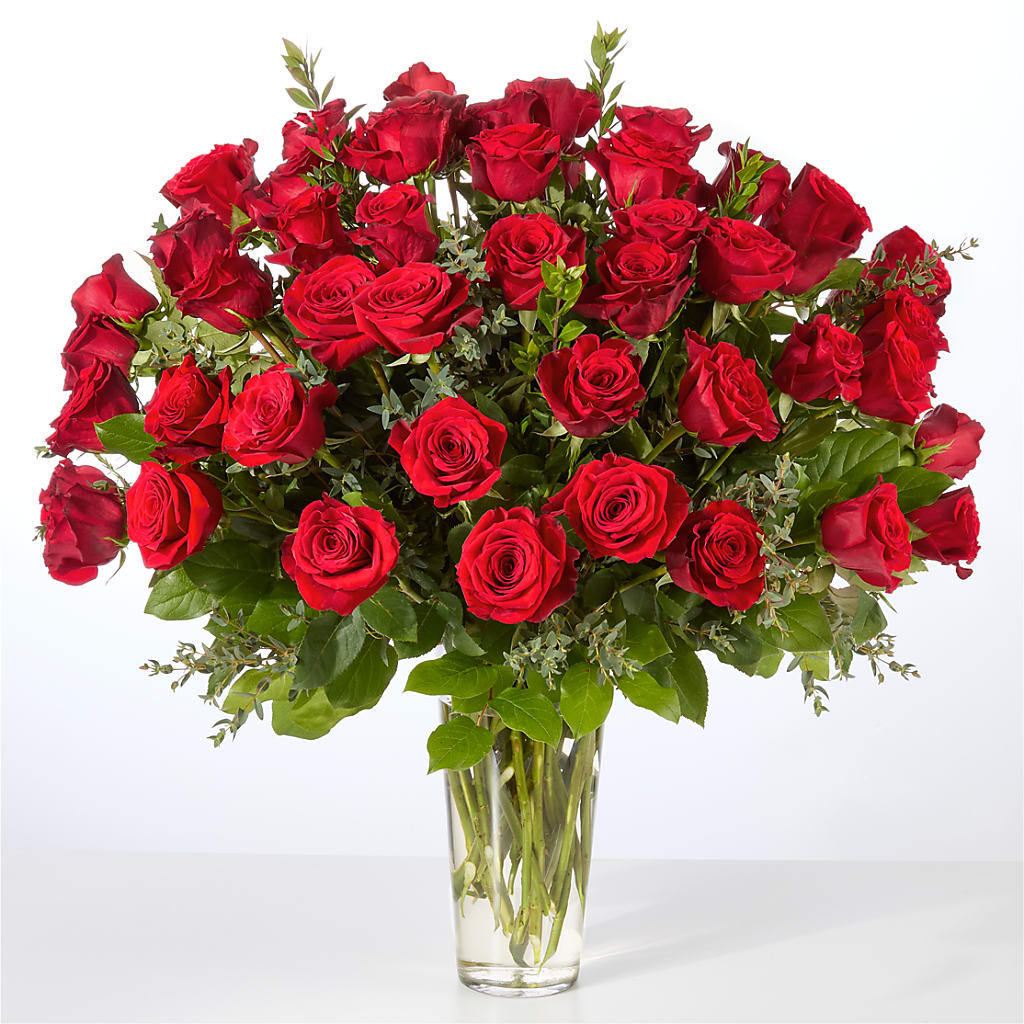 Forever Yours Fifty Stem Red Rose Bouquet –  Rambling Rose Florist, Dunedin FL