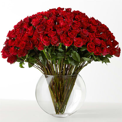The Idealist –  Rambling Rose Florist, Dunedin FL