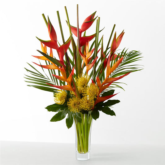The Drama –  Rambling Rose Florist, Dunedin FL