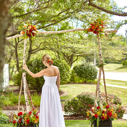 Arbor of Love Archway –  Rambling Rose Florist, Dunedin FL