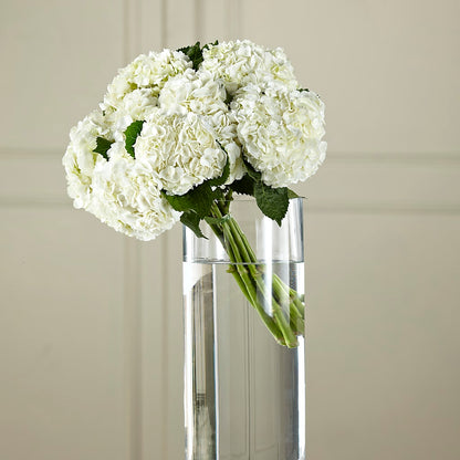 White Hydrangea Hand-Tied Bouquet –  Rambling Rose Florist, Dunedin FL