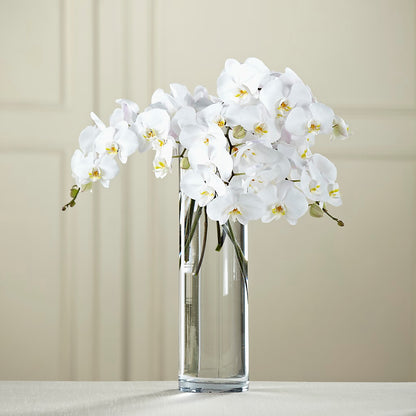White Phalaenopsis Bouquet –  Rambling Rose Florist, Dunedin FL