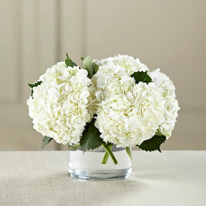 White Hydrangea Bouquet –  Rambling Rose Florist, Dunedin FL